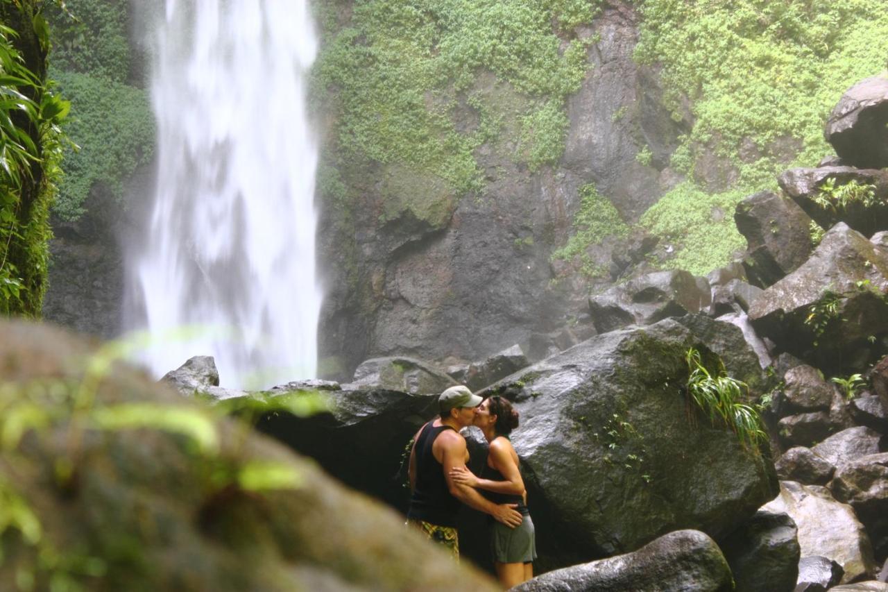 ホテルJungle Bay Dominica Soufriere エクステリア 写真