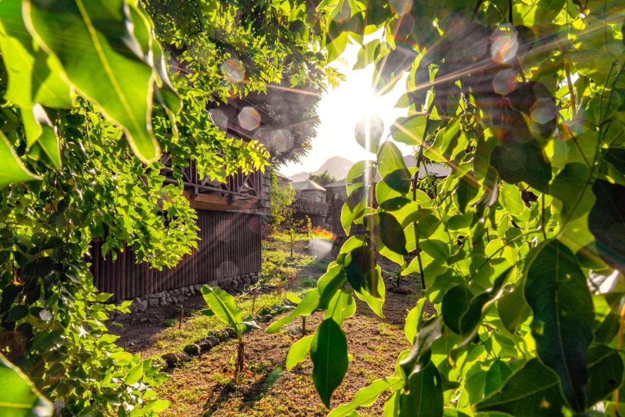 ホテルJungle Bay Dominica Soufriere エクステリア 写真